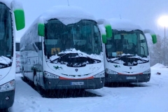 Autobuses Janla